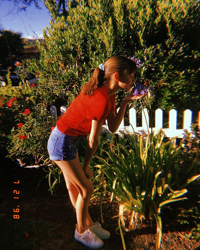 Lauren Lindsey Donzis Lauren Lindsey Donzis