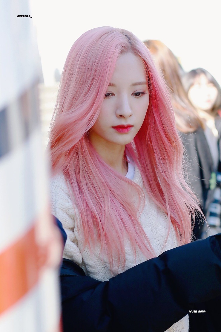 Bona