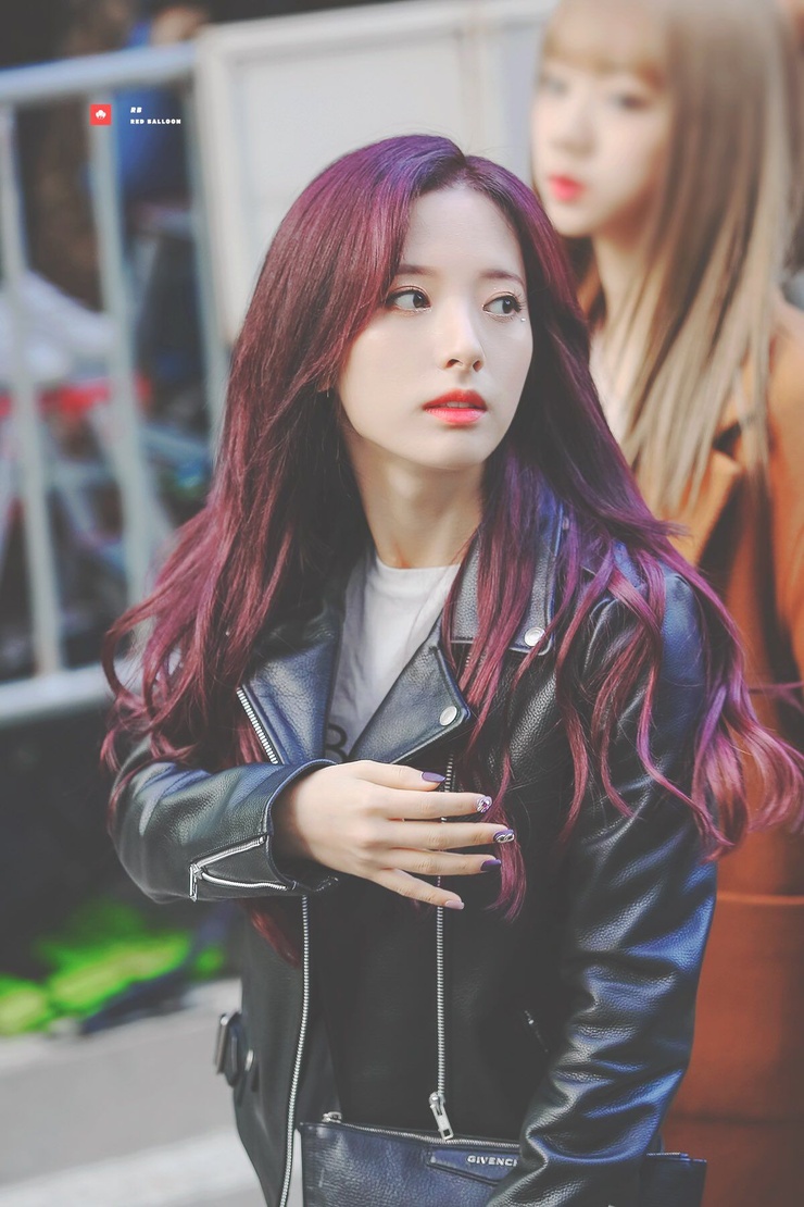 Bona Bona