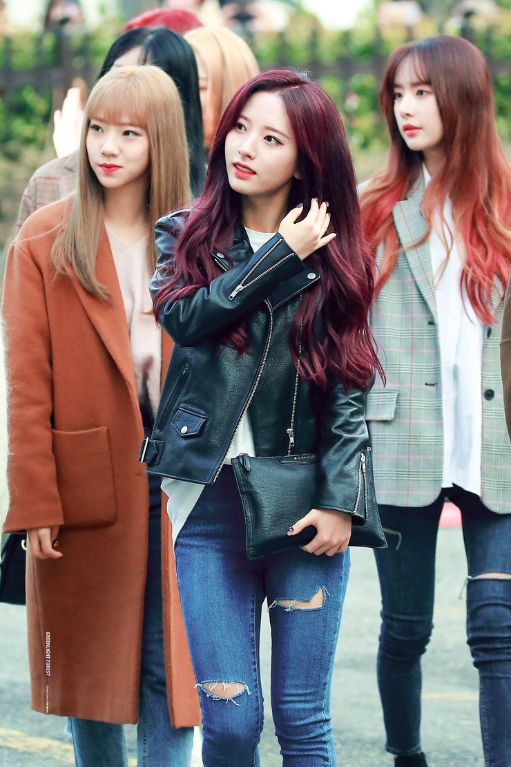 Bona