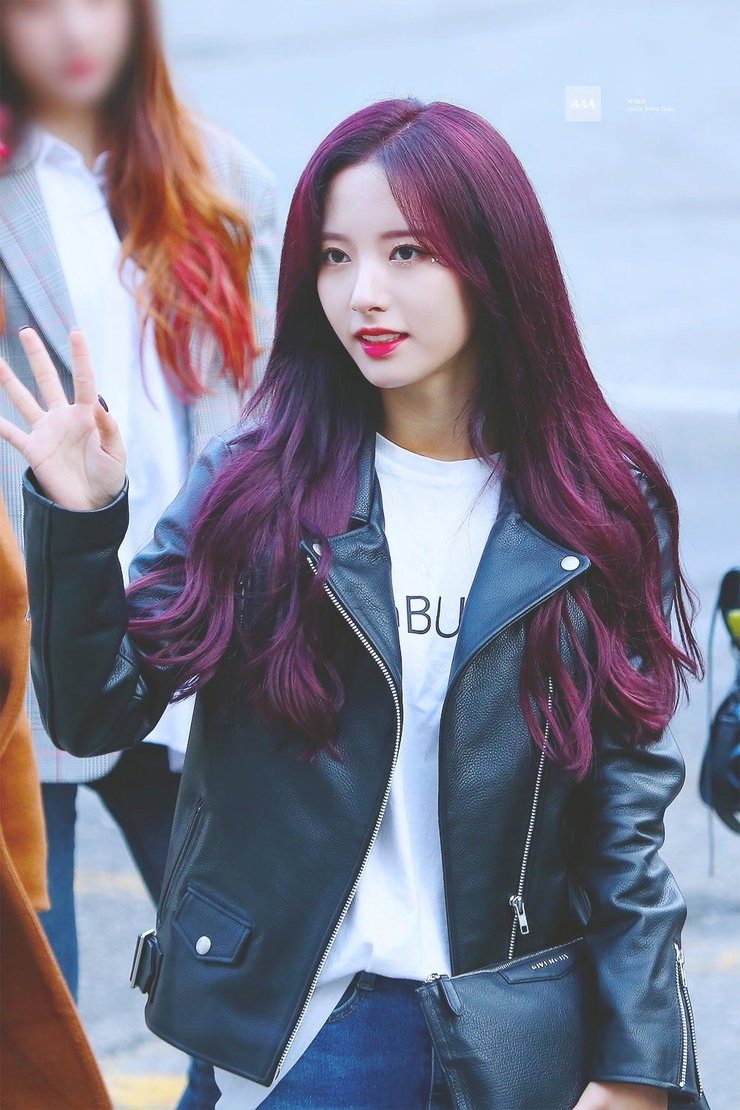 Bona