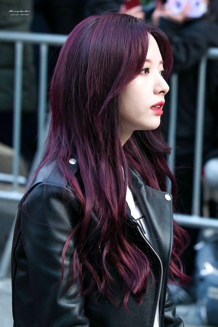Bona