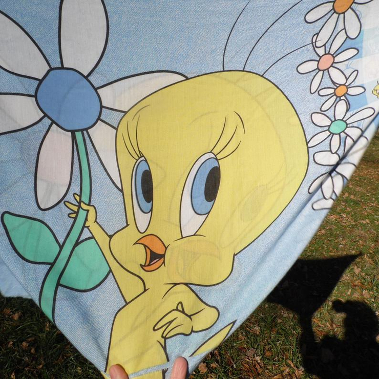 Tweety Bird vintage 1996 pillowcase Warner Brothers featuring Tweety Bird and flowers standard pillowcase I dat I saw a puddy tat! I did!