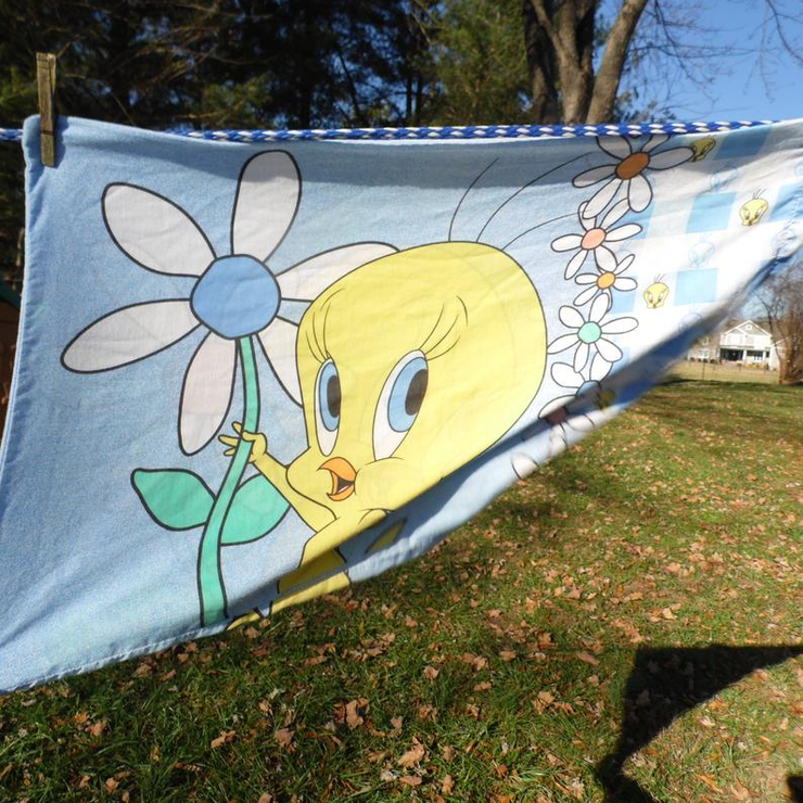 Tweety Bird vintage 1996 pillowcase Warner Brothers featuring Tweety Bird and flowers standard pillowcase I dat I saw a puddy tat! I did!