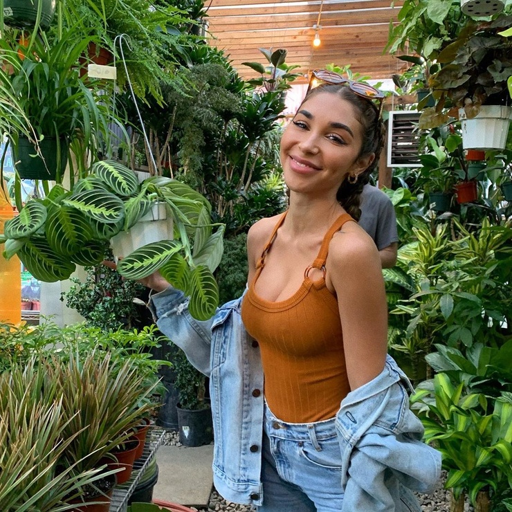 Chantel Jeffries