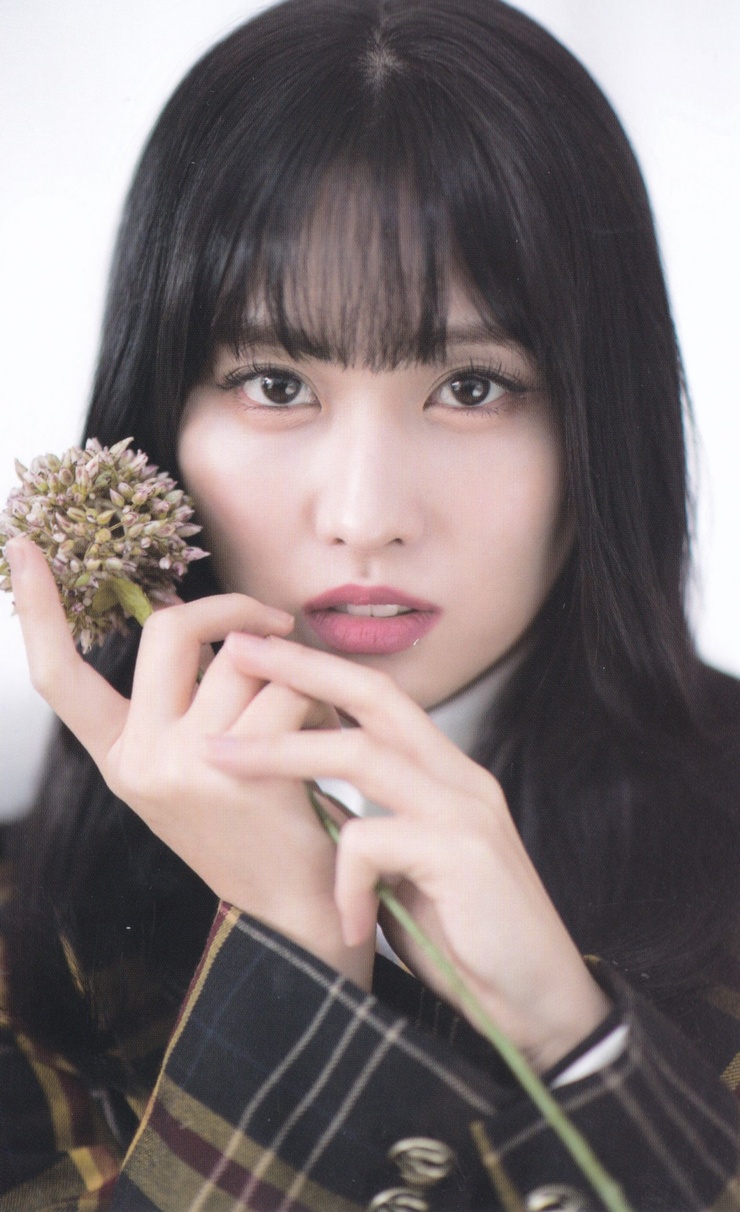 Hirai Momo Hirai Momo