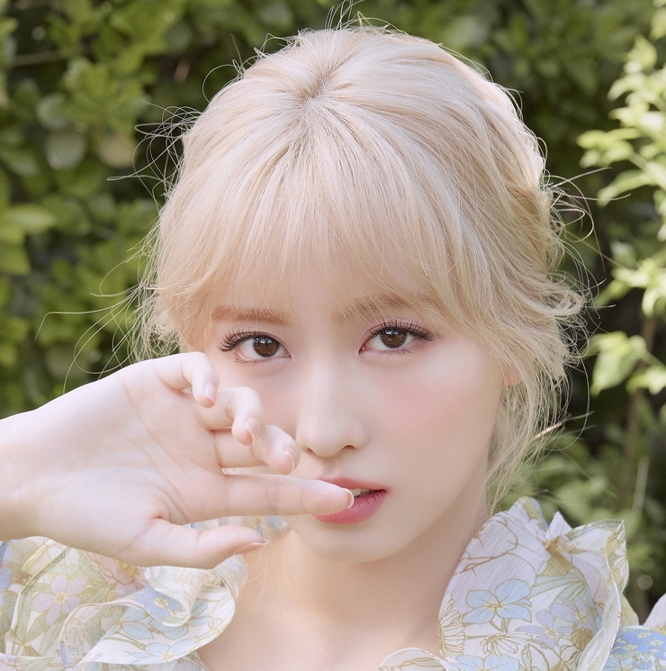 Hirai Momo Hirai Momo