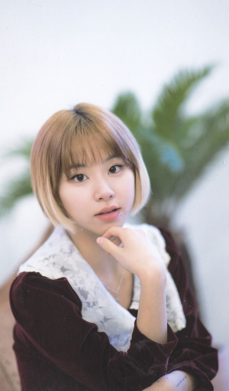 Son Chae Young