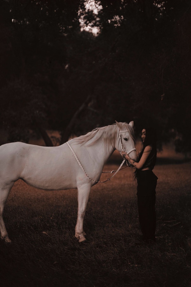 Noah Lindsey Cyrus