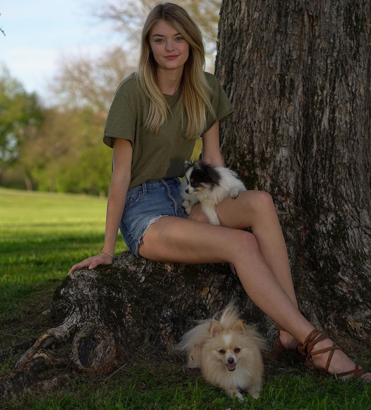 Willow Hand Willow Hand