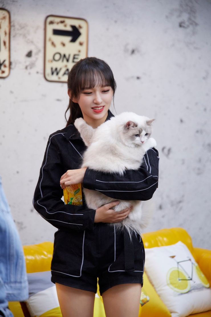Cheng Xiao (程瀟)