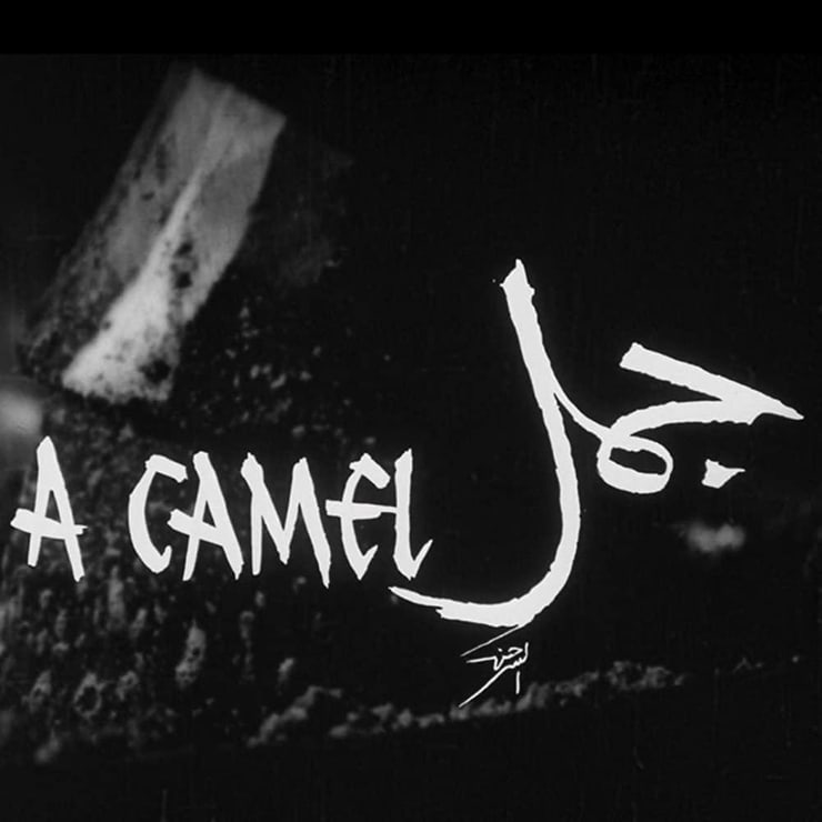 A Camel