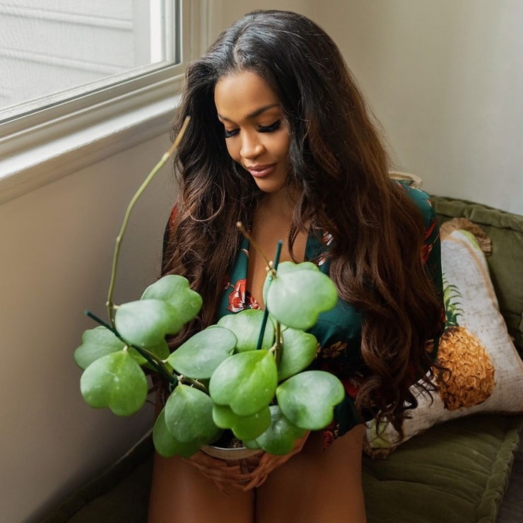 Rosa-Acosta