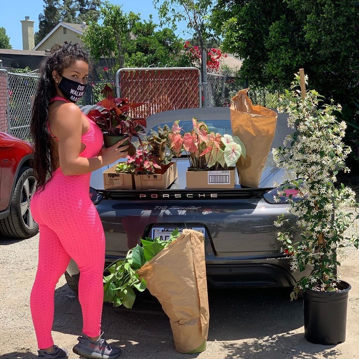 Rosa-Acosta