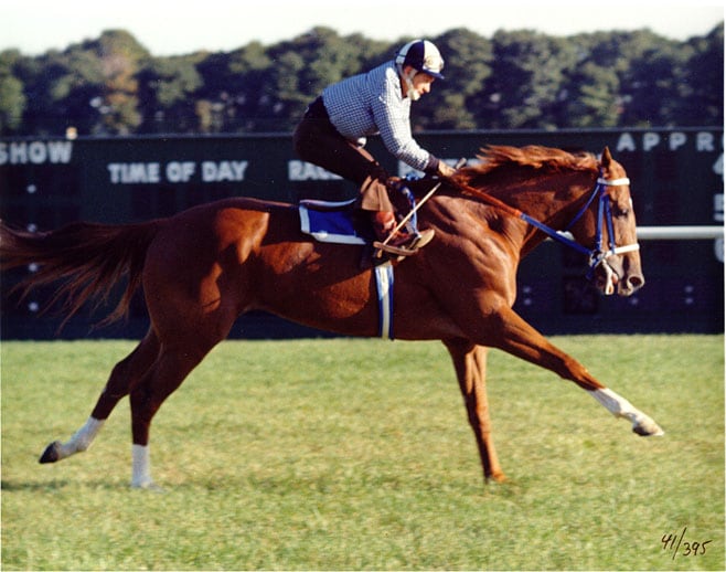 Secretariat