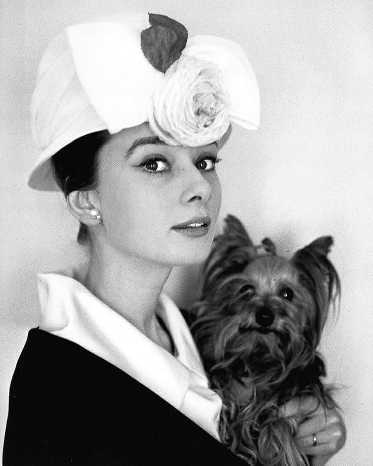 Audrey Hepburn Audrey Hepburn