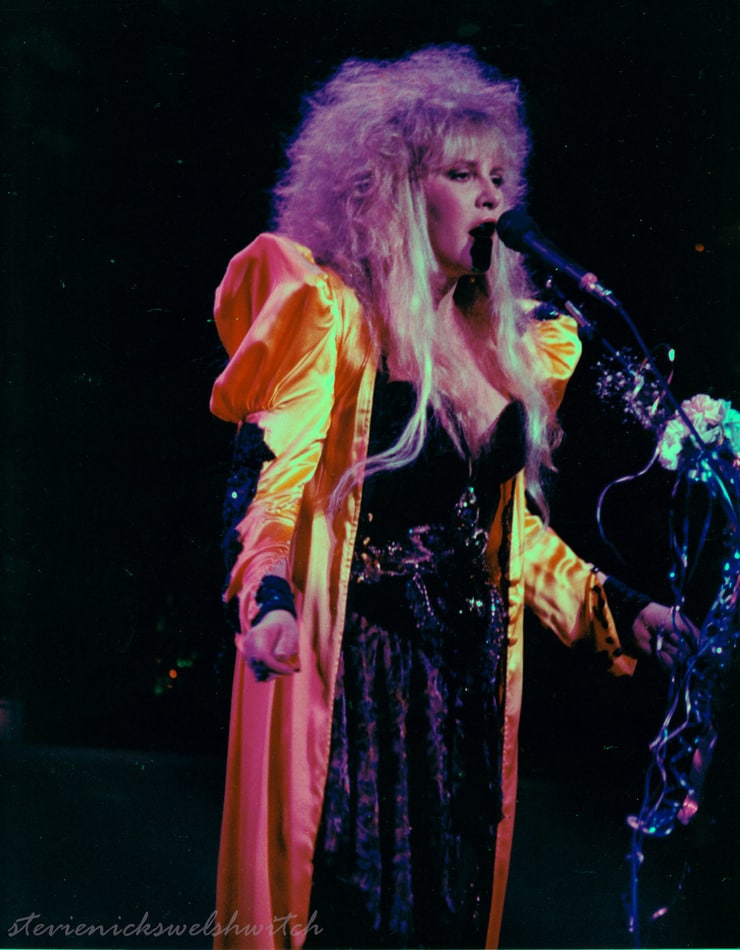 Stevie Nicks image