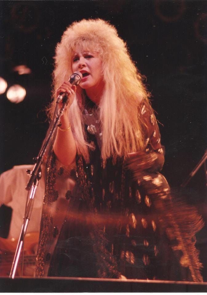 Stevie Nicks picture