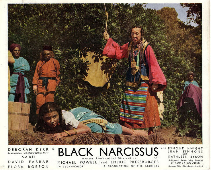 Black Narcissus Black Narcissus