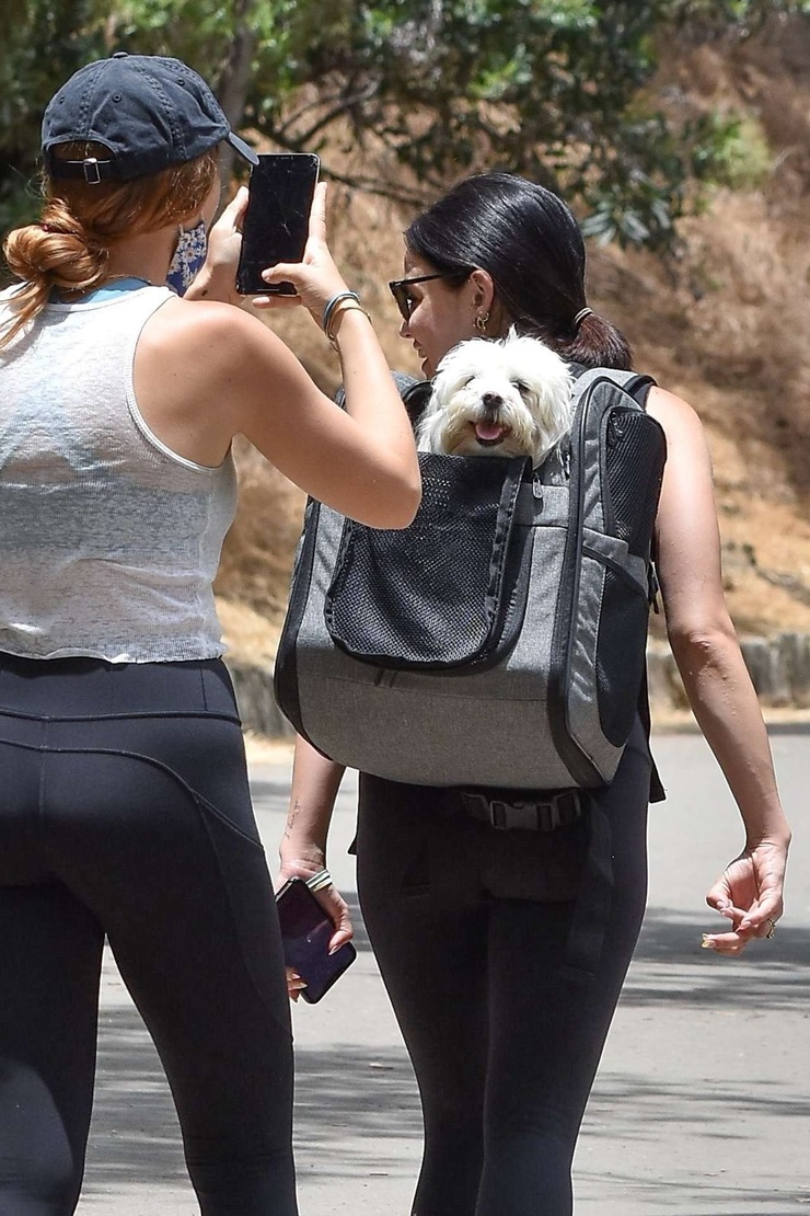 Lucy Hale