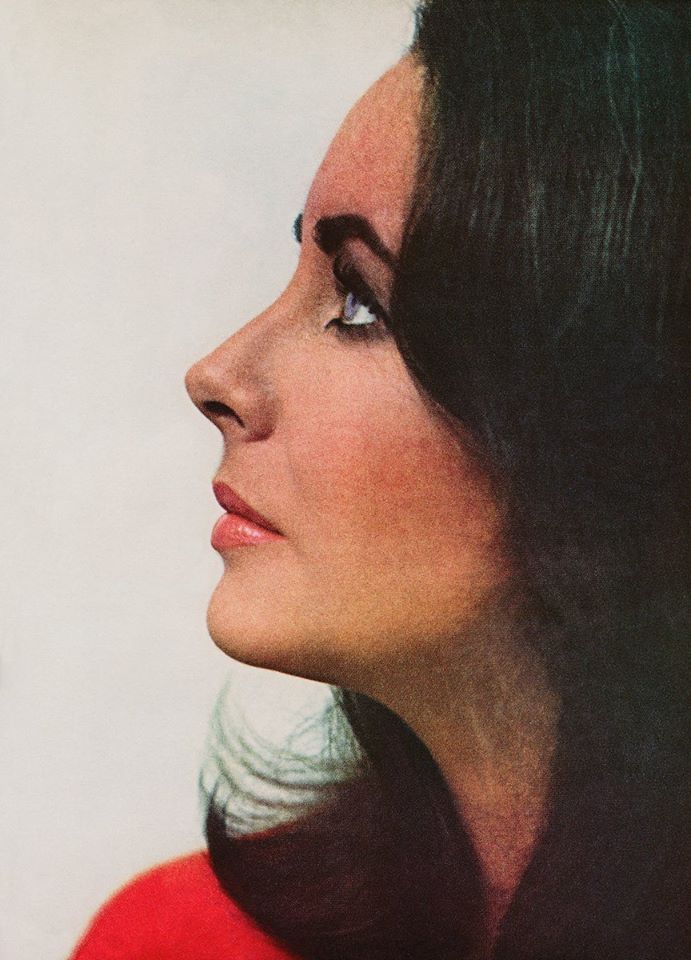 Elizabeth Taylor Elizabeth Taylor