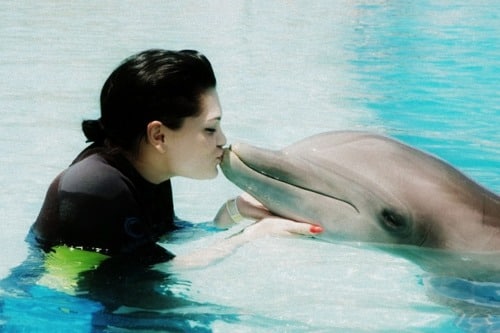 Jessie J Jessie J