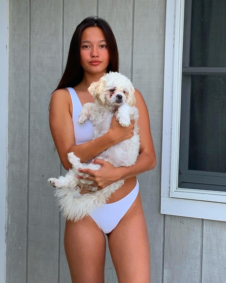 Lily Chee Lily Chee