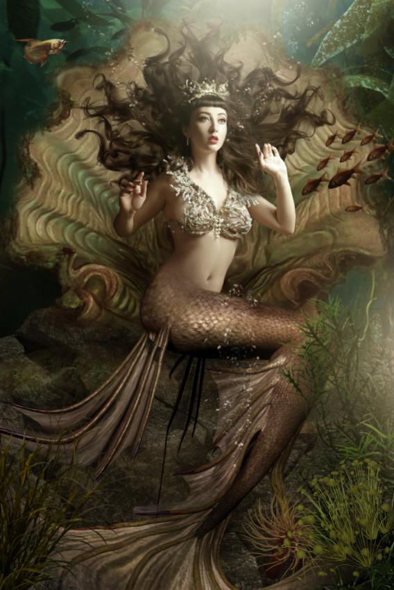 Daphné Huynh Daphné Huynh