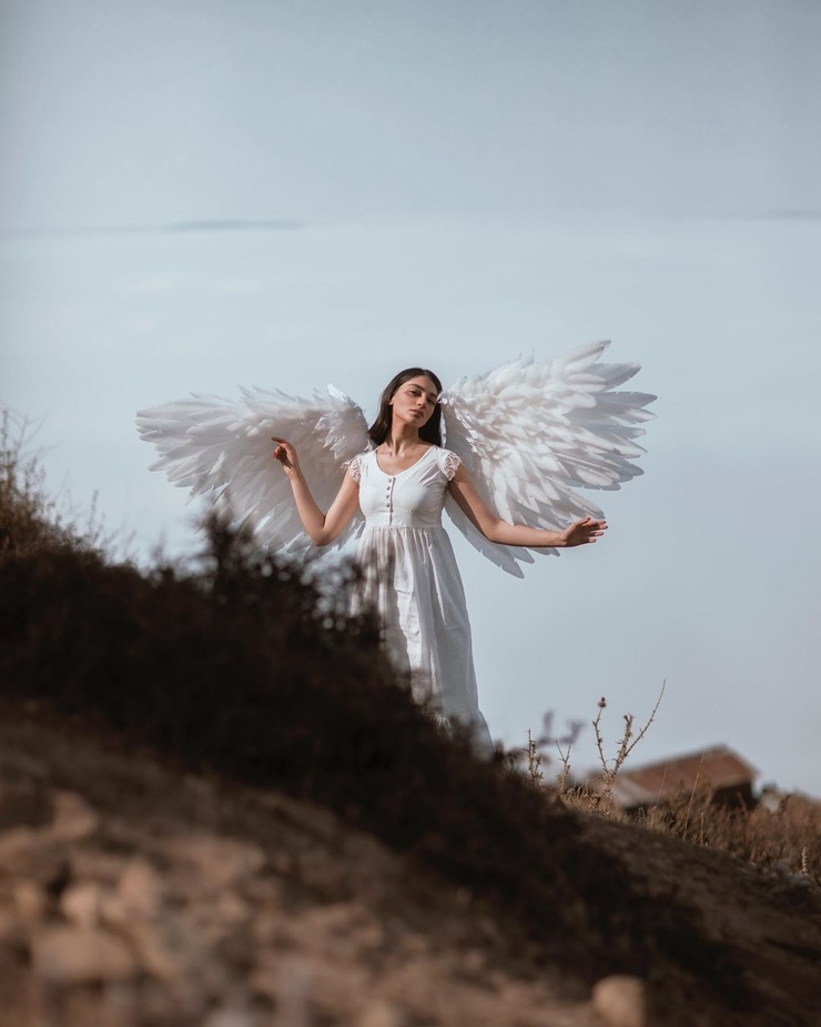 Negar Miran