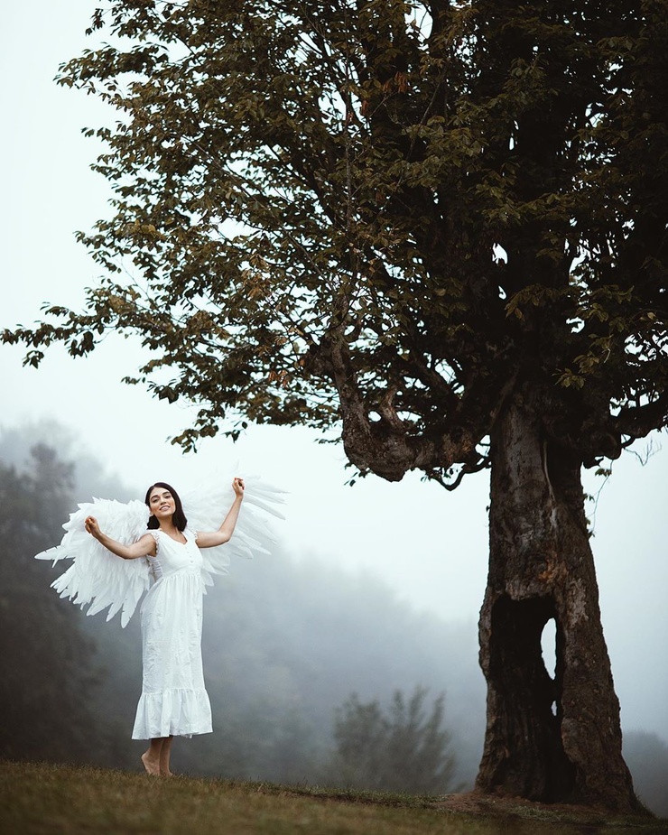 Negar Miran