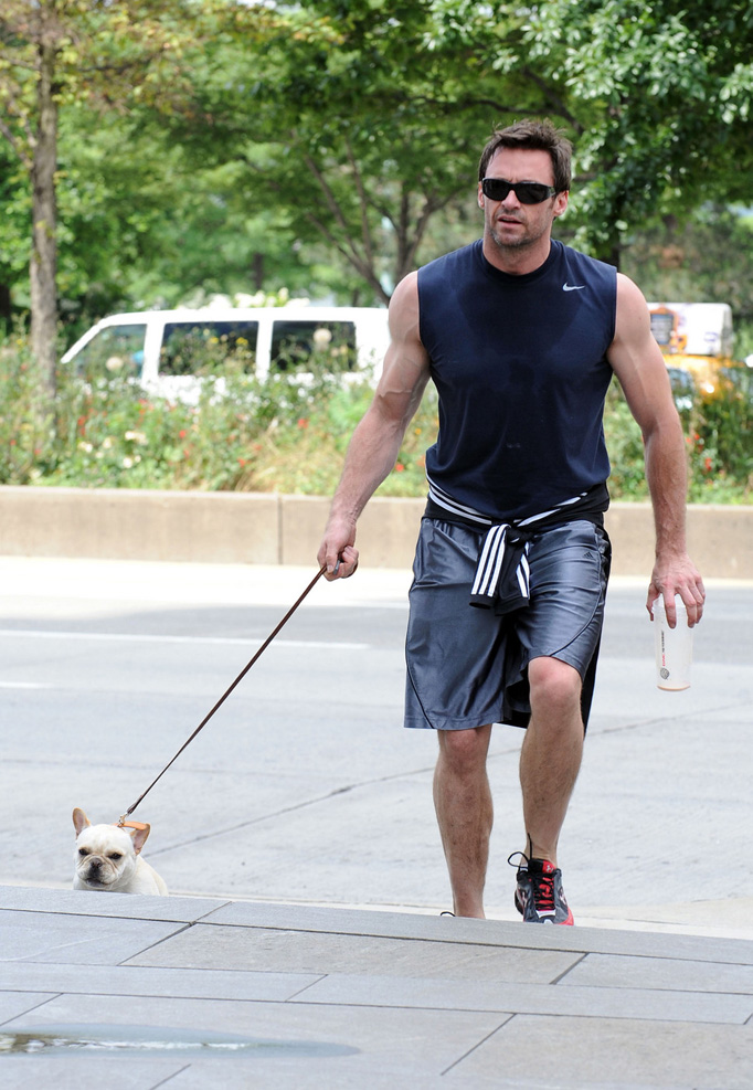 Hugh Jackman