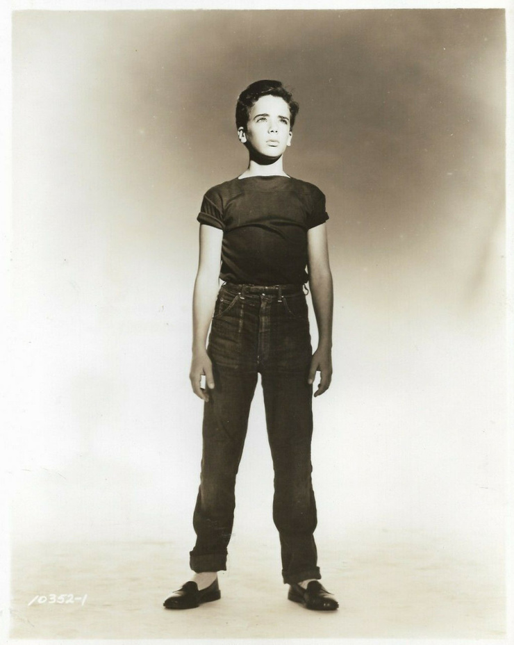 Michel Ray