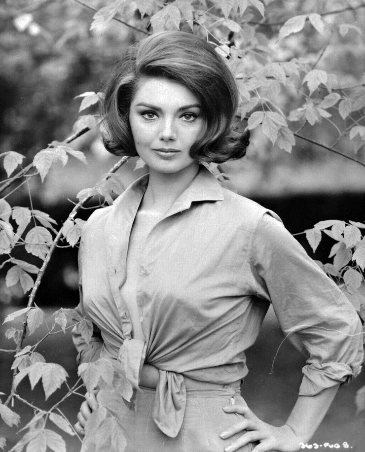 Sylva Koscina