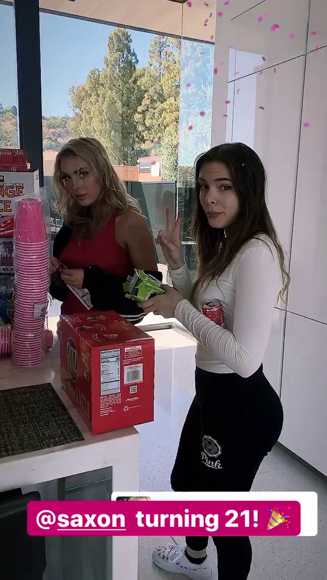 Brighton Sharbino