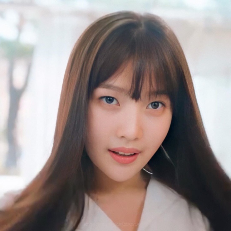 Joy (Park Soo Young)