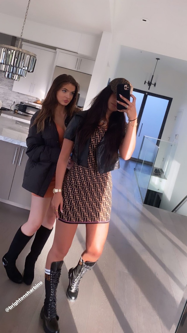 Brighton Sharbino