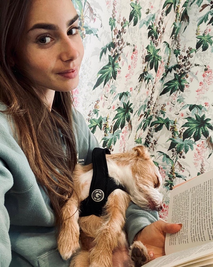 Lily Collins Lily Collins