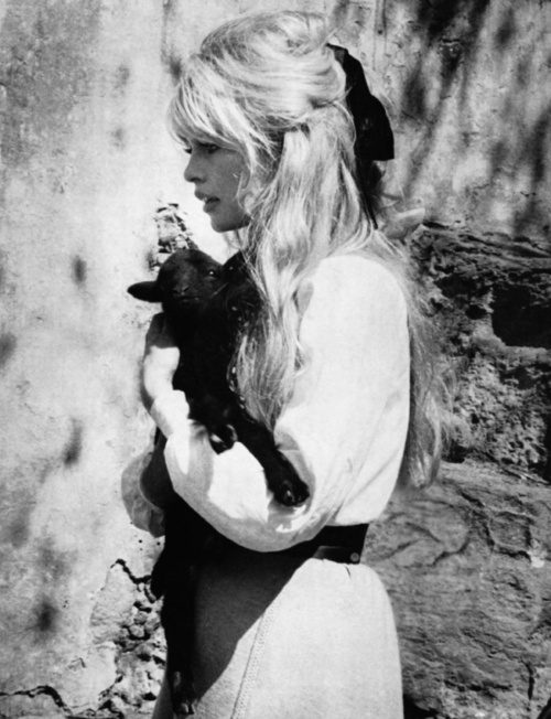 Brigitte Bardot