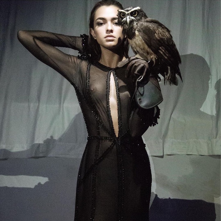 Lucy Vives Lucy Vives