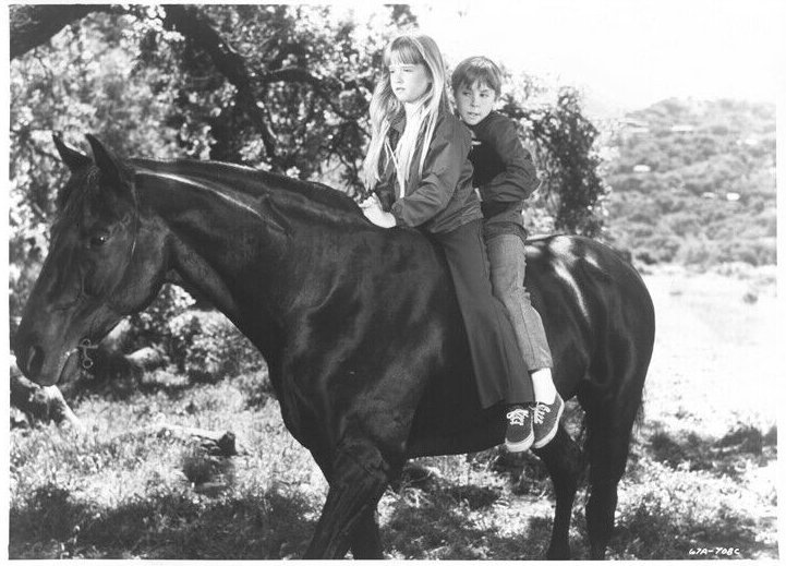 Kim Richards