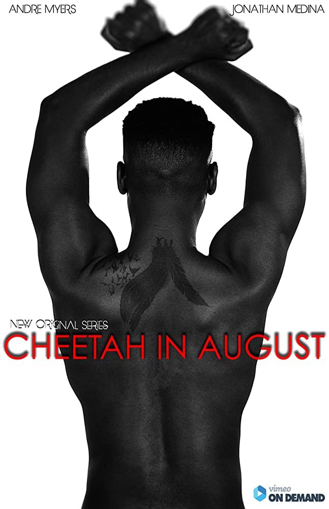 Cheetah in August