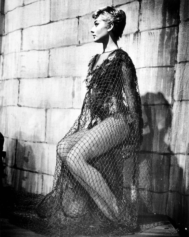 Audrey Hepburn Audrey Hepburn
