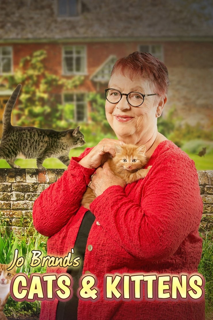 Jo Brand's Cats & Kittens