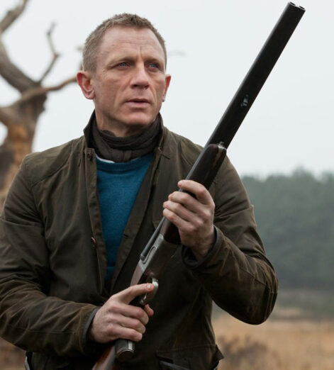 Skyfall image