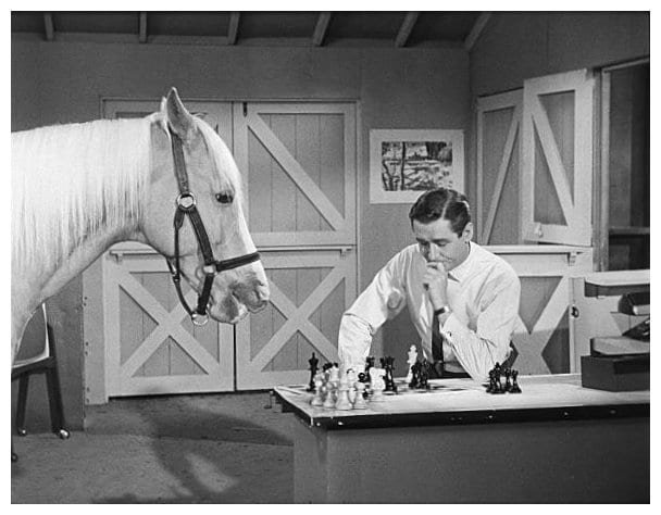 Mister Ed