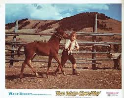 The Wild Country