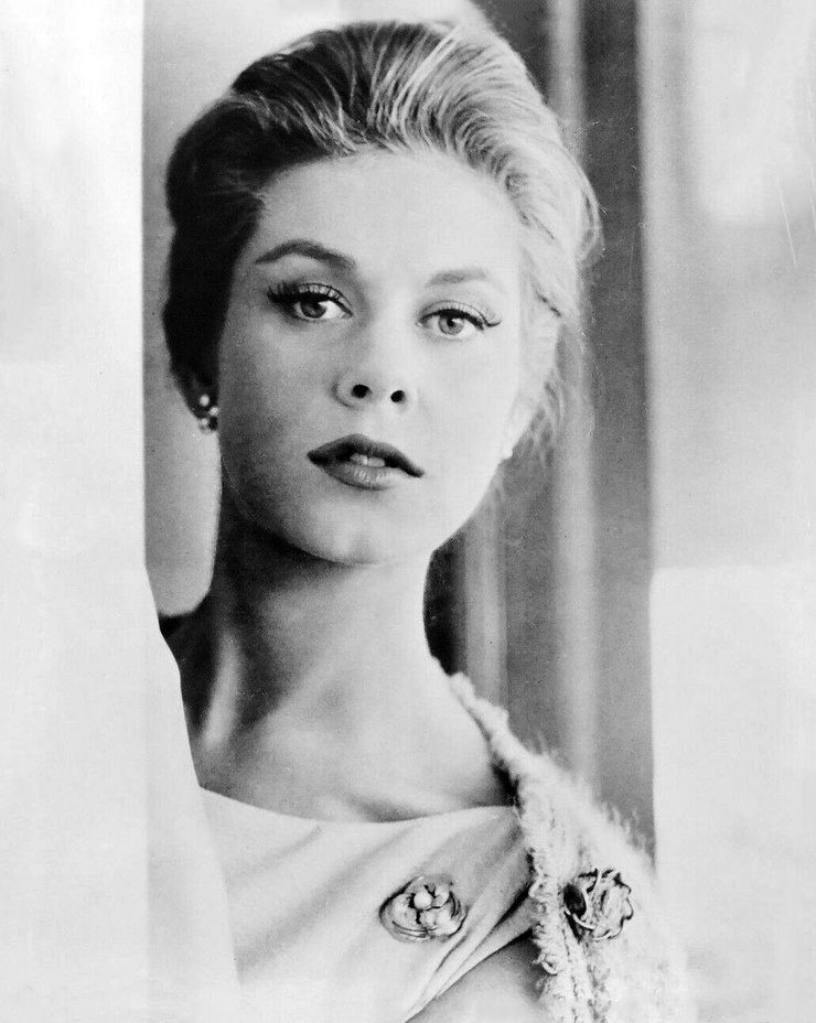 Elizabeth Montgomery Elizabeth Montgomery