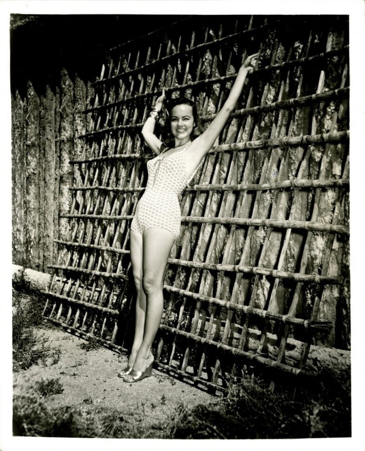 Terry Moore Terry Moore