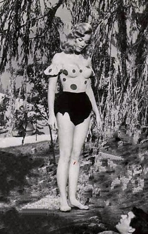 Leslie Parrish Leslie Parrish