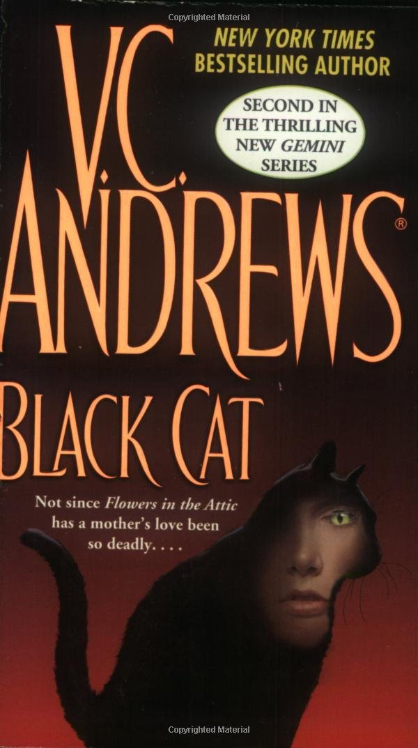 Black Cat (Gemini, Book 2)